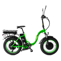 Электровелосипед Elbike Taiga 1 Twix Elite 2000 Зеленый