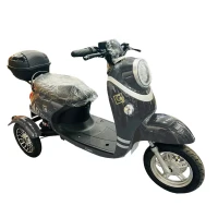 Электротрицикл GT-EV5 (Серый)