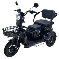 Электротрицикл YASMAND D12 Li-ion