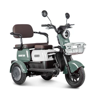 Электротрицикл Rutrike Gelbert Sun 48V/60V 650Вт Зелено-белый